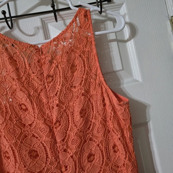 BB Dakota Pink Halter Fit and Flare Mini Dress - Picture 12 of 14